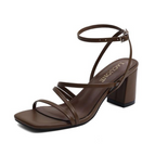 Chocolate Brown / 6